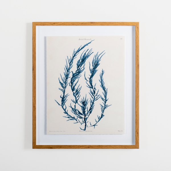 Vintage Blue Coral I Framed Art Print Kirklands Home