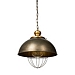 Black and Gold Metal Dome Bulb Cage Pendant Light
