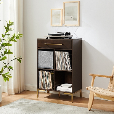 Liam Record Storage End Table - Shop Liam