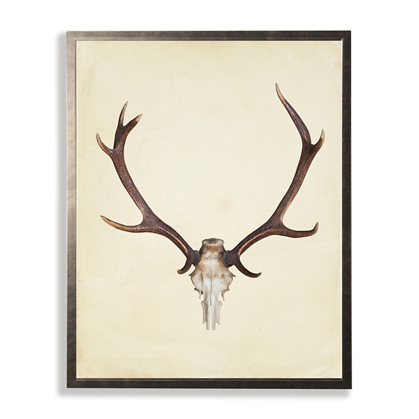 Antler in Pewter Framed Art Print | Kirklands Home