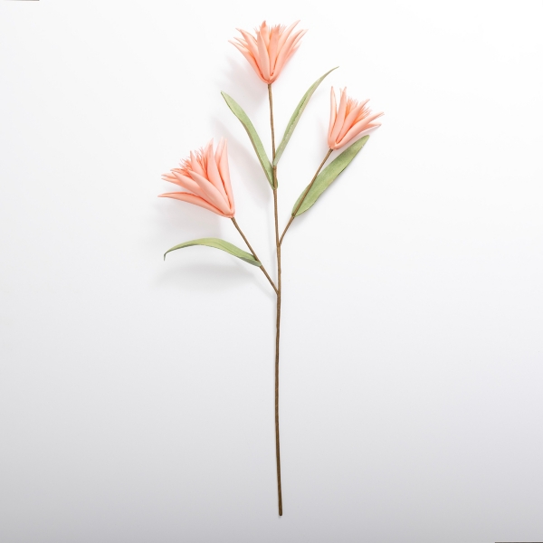 Pink Tropcial Aechmea Stem Kirklands Home