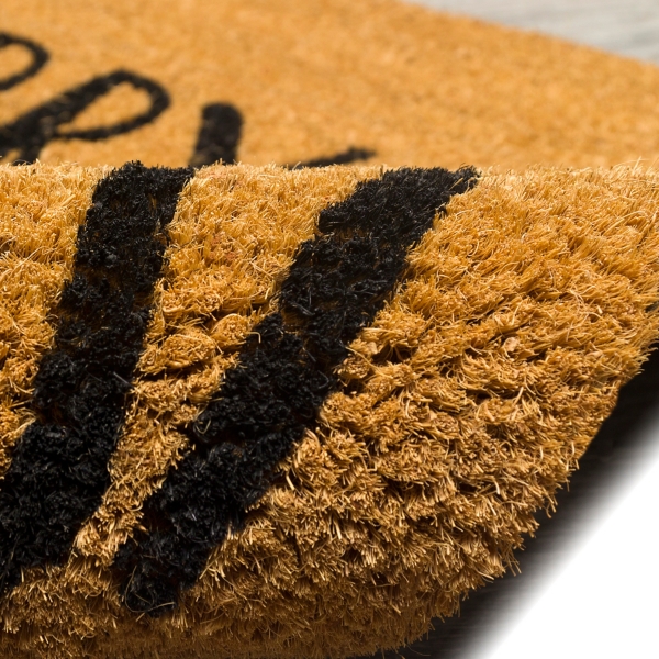 Merry Christmas Santa Doormat