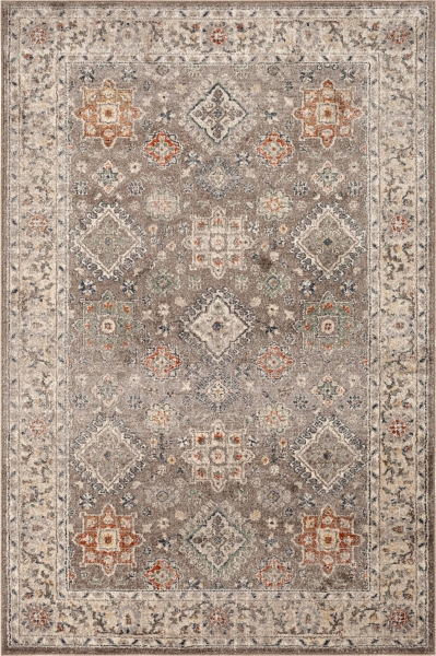 Tan Vintage Remi Area Rug, 7x9 Kirklands Home