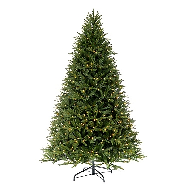 Fraser Fir Christmas Tree