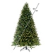 7.5 ft. Multi-Lit Fraser Fir Christmas Tree