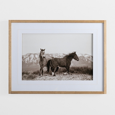 Horse Photography Framed Print | Kirklands