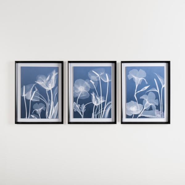 Blue Floral XRay Framed Art Prints, Set of 3 Kirklands Home