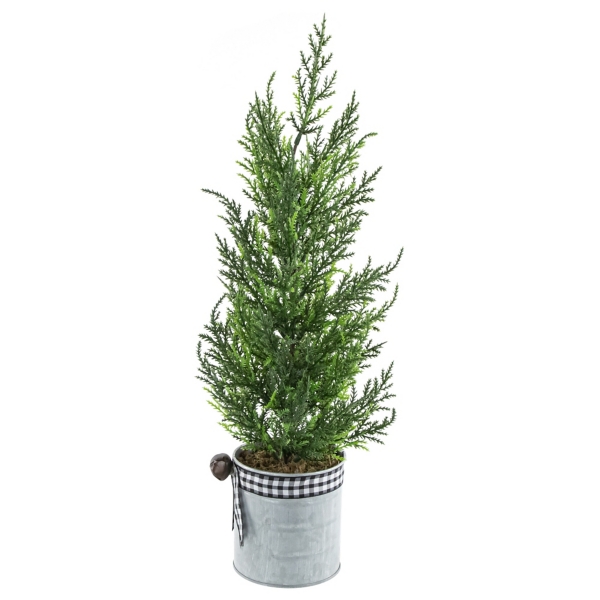 Cypress Mini Potted Christmas Tree