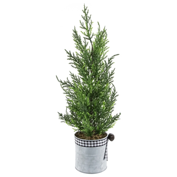 Cypress Mini Potted Christmas Tree