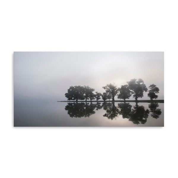 Gray Island Sunrise Canvas Art Print | Kirklands Home