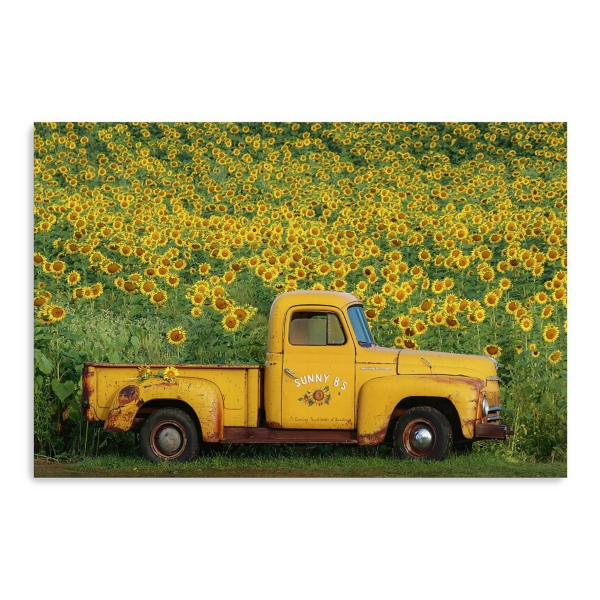 Yellow Vintage Sunflower Truck Canvas Art Print