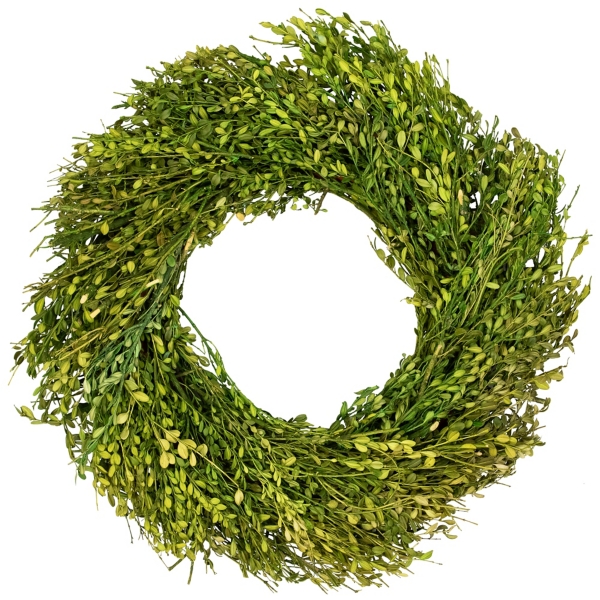 Green Foliage Spring Wreath Kirklands Home