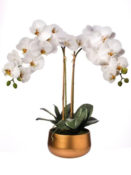 White Orchid Arrangement in Gold Pot, 22 in. Kirklands Home