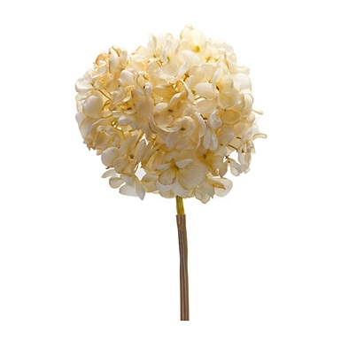 White Spring Flower Stems, Set of 2