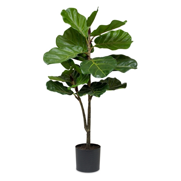 Fiddle Leaf Fig Tree in Black Planter | Kirklands Home