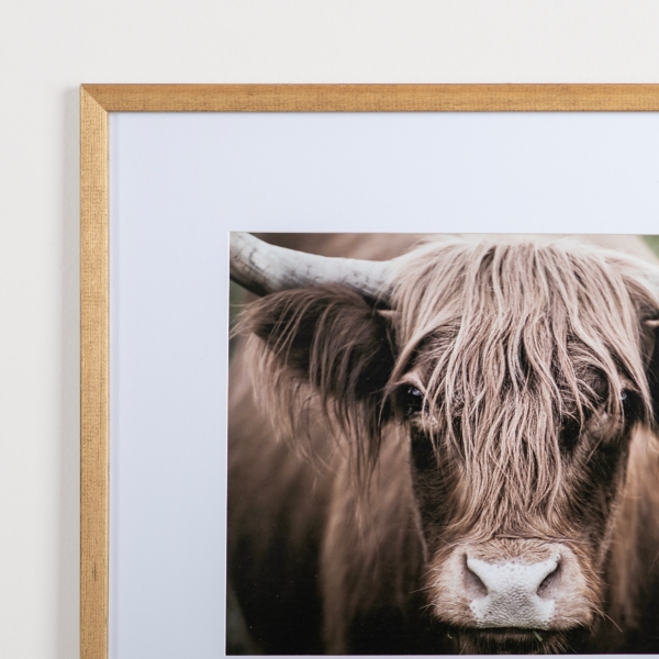 Highland Cow Stare Framed Art Print