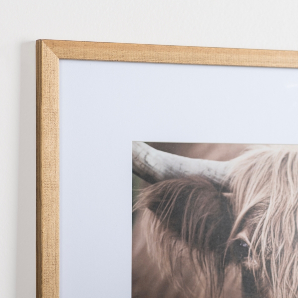 Highland Cow Stare Framed Art Print