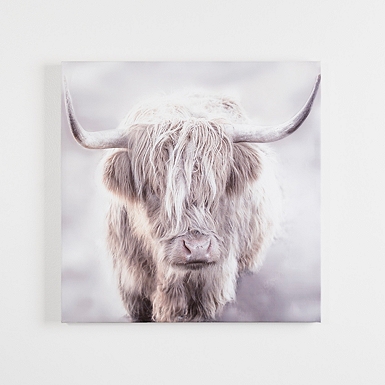 Shy Highland Cow Canvas Art Print Kirklands Home