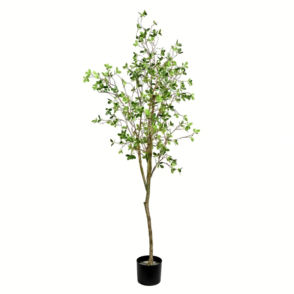 Milan Leaf Tree in Black Planter | Kirklands Home