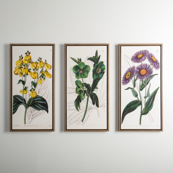 Floral Triptych Framed Canvas Art Prints, Set of 3