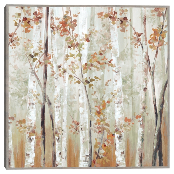 Birch Wood III Framed Canvas Art Print Kirklands Home