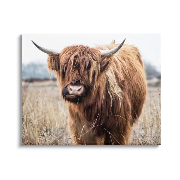 Longhorn in Tall Grass Canvas Art Print, 40x30 in. | Kirklands Home