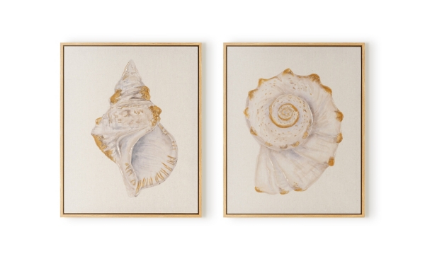 Magic Seashells Framed Canvas Art Prints, Set Of 2 