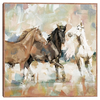 Wild Ride Framed Canvas Art Print | Kirklands Home