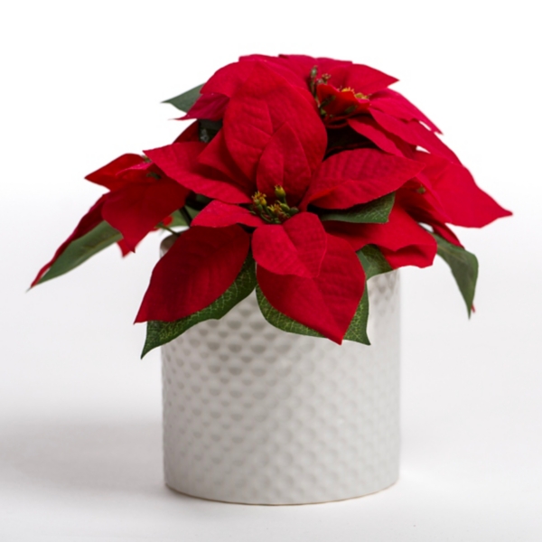 Red Poinsettia Arrangement in White Vase Kirklands Home