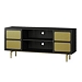 Black Wood and Gold Paneled 2-Door TV Stand