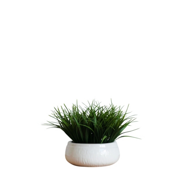 Grass Arrangement in White Ceramic Bowl