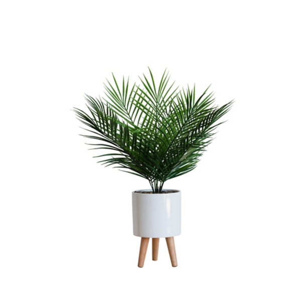 Palm Arrangement in White Footed Pot
