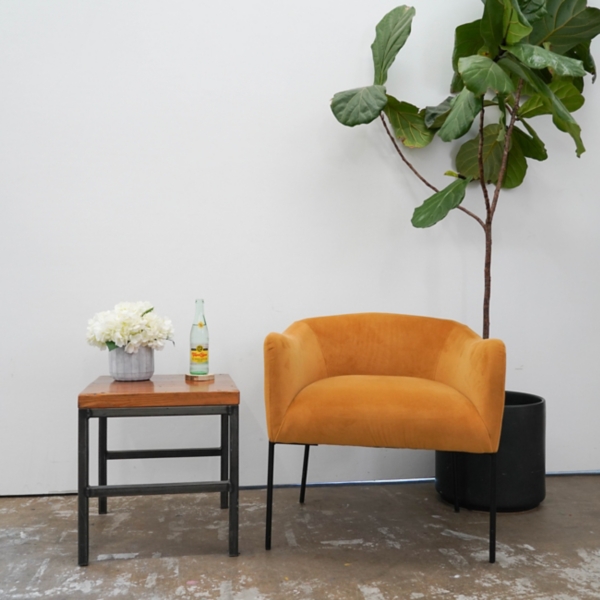 Cream Hydrangea Arrangement in Cement Planter