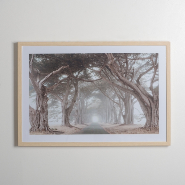 Spring Road Treescape Framed Art Print