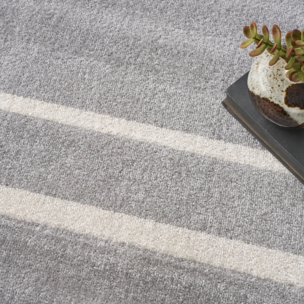 Bordered Indoor/Outdoor Area Rug