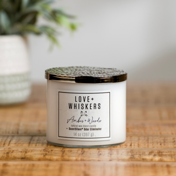 Love + Whiskers ScentSilent 3Wick Jar Candle Kirklands Home