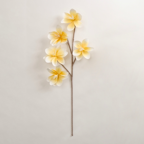 Yellow Japanese Magnolia Foam Spray