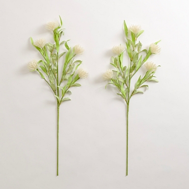 White Spring Flower Stems, Set of 2