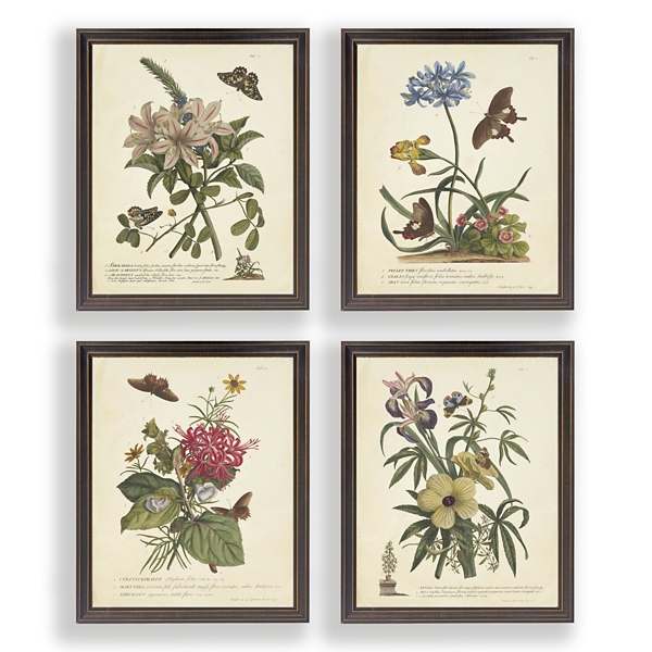 Day Butterfly Blooms Framed Art Prints, Set of 4 | Kirklands Home