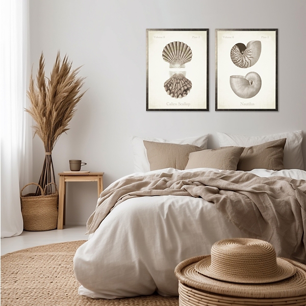 Neutral Seashells Framed Art Prints, Set of 2