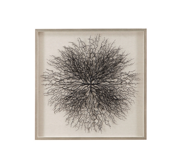 Sea Fan Shadowbox Wall Plaque | Kirklands Home