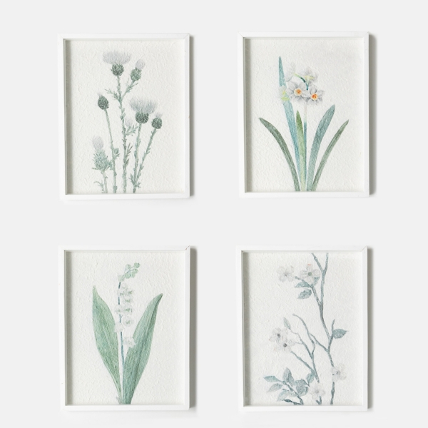 Watercolor Botanical Framed Art Prints, Set of 4 Kirklands Home