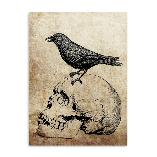 Vintage Skull & Raven Canvas Art Print