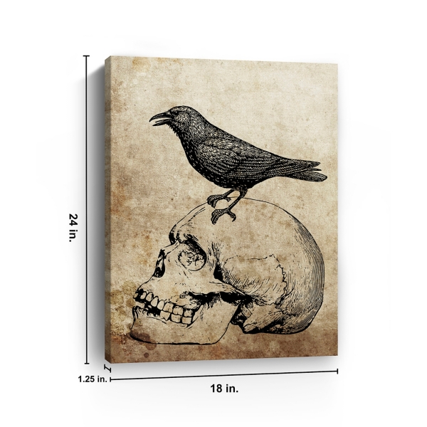 Vintage Skull & Raven Canvas Art Print