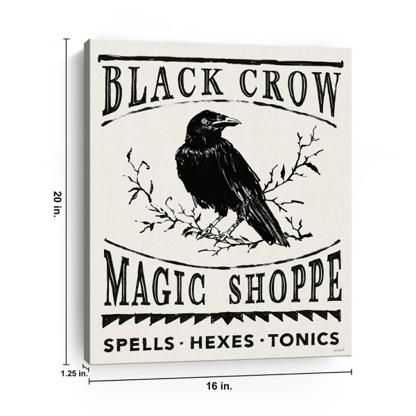 Black Crow Canvas Art Print