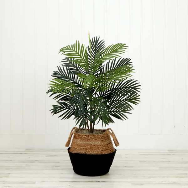 Areca Palm Tree in Woven Basket DIY Kit, 3 ft.