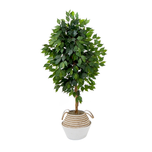 Double Trunk Ficus Tree in Basket DIY Kit, 4.5 ft. | Kirklands Home