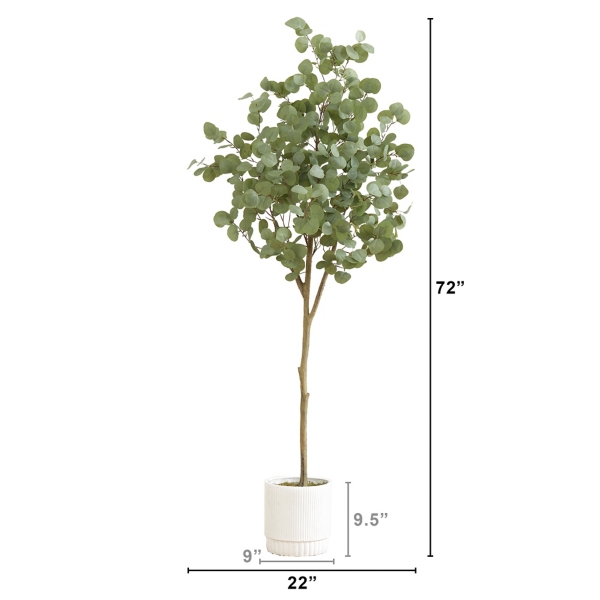 Eucalyptus Tree in White Planter, 6 ft.
