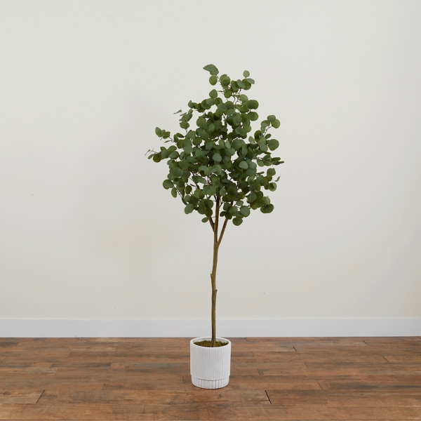 Eucalyptus Tree in White Planter, 6 ft.