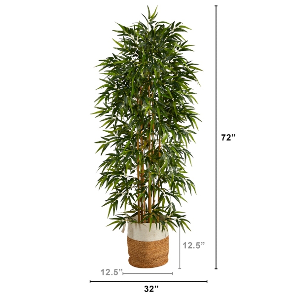 Bamboo Tree in Woven Basket, 6 ft.